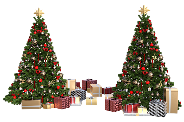 christmas-tree-7568302_640.png